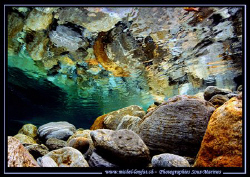 Colors and Reflexion... in the beautiful waters of the Ve... by Michel Lonfat 